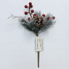 Christmas Plugin【Packaging without Words】_P02151857_9_m