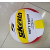 volleyball Plastic【Packaging without Words】_P02022709_5_m