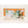 Green Girl Bow & Bow (Orange) Paper Sticky Notes Tape Set,one colour only,paper【Chinese English  Packaging】_201366648