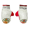 American boxer's boxing gloves Plush【English Packaging】_P02511822_3_m