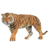 Bengal yellow tiger  Plastic【English Packaging】_P01776548_3_m