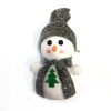 6PCS Christmas snowman,Foam【Packaging without Words】_P02119321_6_m