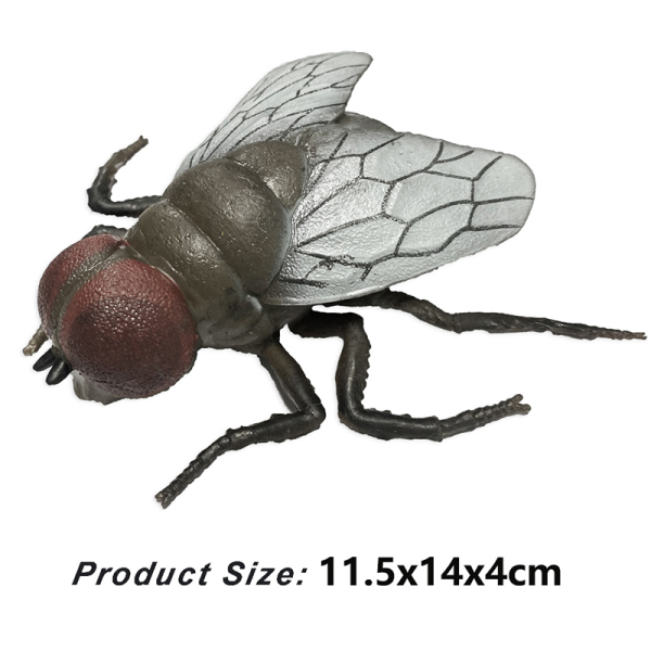 Б