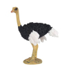 African ostrich spreading its wings  Plastic【English Packaging】_P01884898_4_m