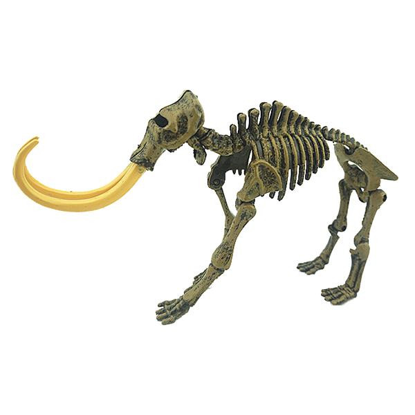 Dinosaur skeleton