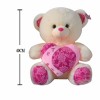 bear toys Plush【English Packaging】_200001275