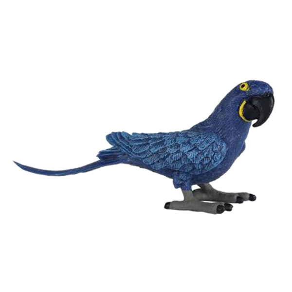 Hyacinth macaw