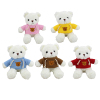 46CM Rose Velvet Hoodie Teddy Bear Plush Doll Fabric Doll 5-Color,Plush【English Packaging】_P03031575_2_m