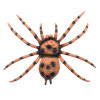 Simulation Insect Spider Ornament,Plastic【English Packaging】_P02939437_20_m