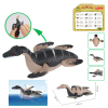 On chain simulation dinosaur small toy gift, swimming snake necked dragon Cochain Plastic【English Packaging】_200478893