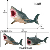 Prehistoric giant toothed shark  Plastic【English Packaging】_201311045