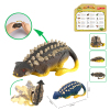 Chain up simulation dinosaur small toy gift Ankylosaurus Cochain Plastic【English Packaging】_200478930