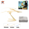 archaeology set Gypsum【English Packaging】_200358899_1_m