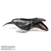 narwhal (Monodon monoceros),Plastic【English Packaging】_P02749624_10_m