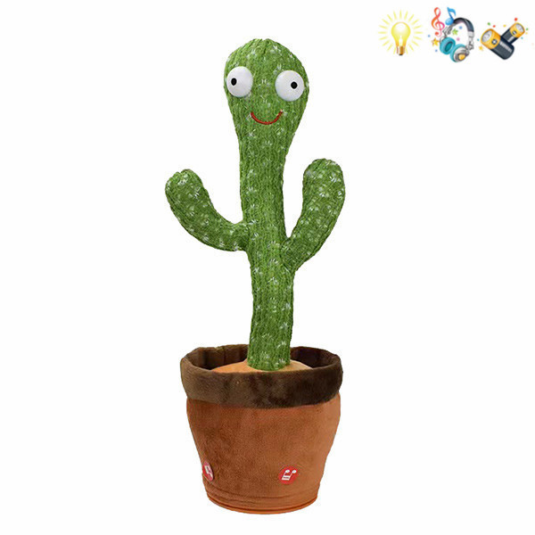 cactus with USB