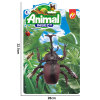 Simulation Insect Spider Ornament,Plastic【English Packaging】_P02939437_8_m