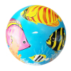 8.5" Inflatable ball Plastic【English Packaging】_P01878324_7_m