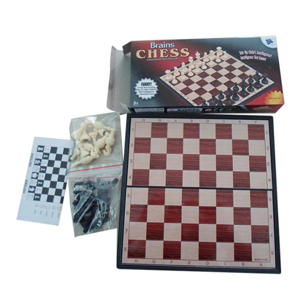 Magnetic Chess