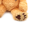 teddy bear,Plush【Packaging without Words】_P01997881_2_m