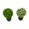 Plastic pots for large plants,Multiple styles,Plastic【Packaging without Words】_P02753325_6_m