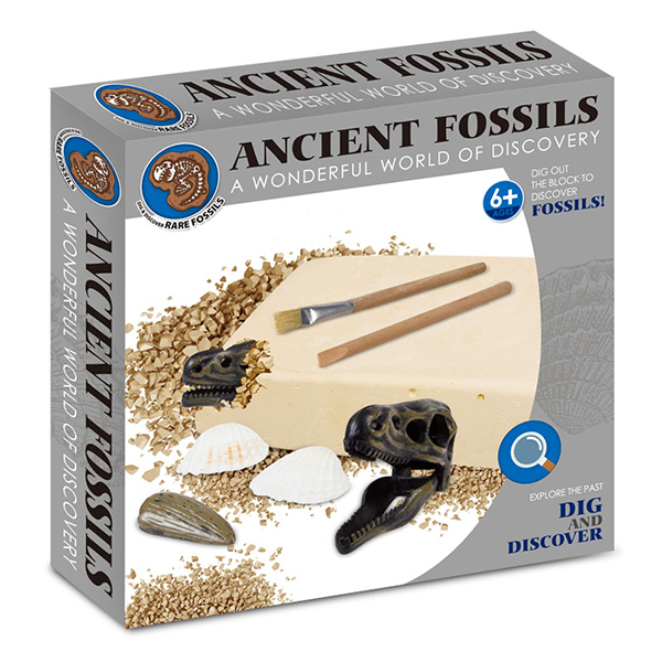 archaeology set