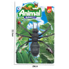 Simulation Insect Spider Ornament,Plastic【English Packaging】_P02939437_9_m