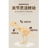 Archaeological Dinosaurs  Plastic【Chinese Packaging】_P02260362_3_m