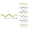 60PCS snake(6) Plastic【English Packaging】_P02242183_5_m