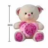 bear toys Plush【English Packaging】_200001279