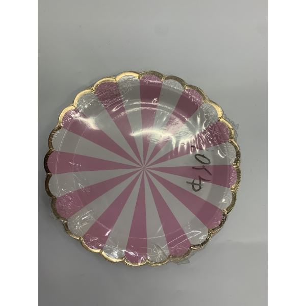 10PCS plates