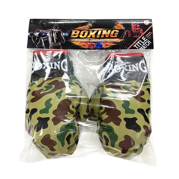 boxing set