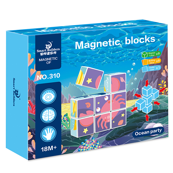 Magnetic Puzzle