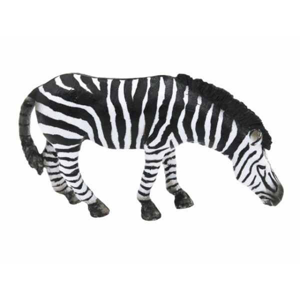 zebra Plastic【English Packaging】_100873733_hd