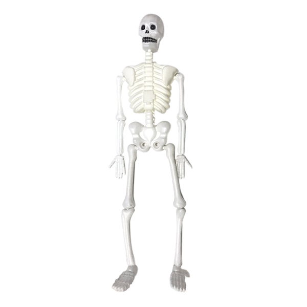 skeleton