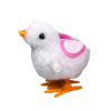 fluffy chicken,Cochain,Plush【English Packaging】_P01806879_4_m