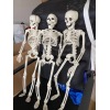 40cm, 60cm standing skeleton Plastic【Chinese English  Packaging】_P02291823_2_m