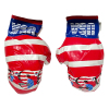 American boxer's boxing gloves Plush【English Packaging】_P02511822_2_m