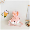 Plush cartoon change crossbody bag,one colour only【Packaging without Words】_P02717787_2_m