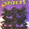 6pcs Spider,Plastic【English Packaging】_P02219514_3_m