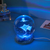 Creative crystal ball night light (6cm round ball+resin base),one colour only,Plastic【Packaging without Words】_201869458