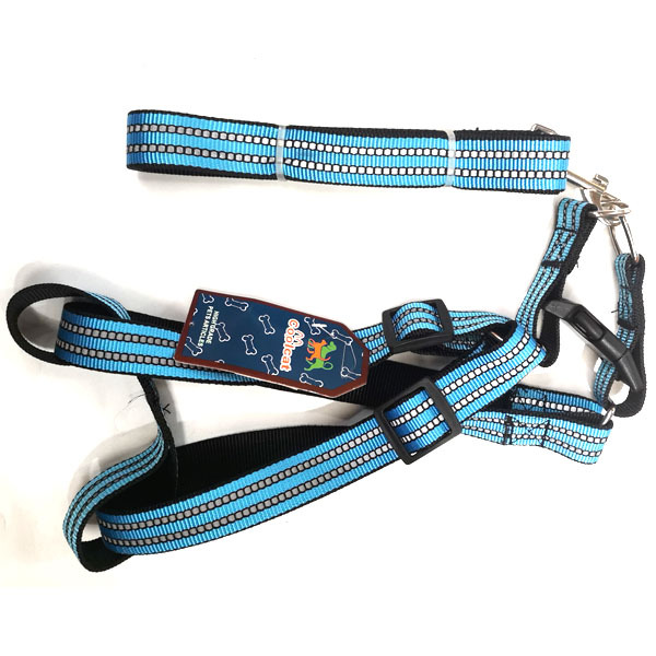 Dog Leash Mixed Colors