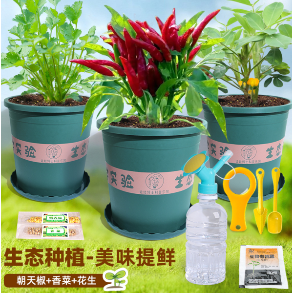 Delicious Fresh (Chili Pepper+Cilantro+Peanuts) Set,Chemical experiment,one colour only,Plastic【Chinese Packaging】_201399266_hd