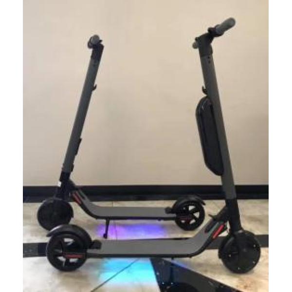 motorized scooter